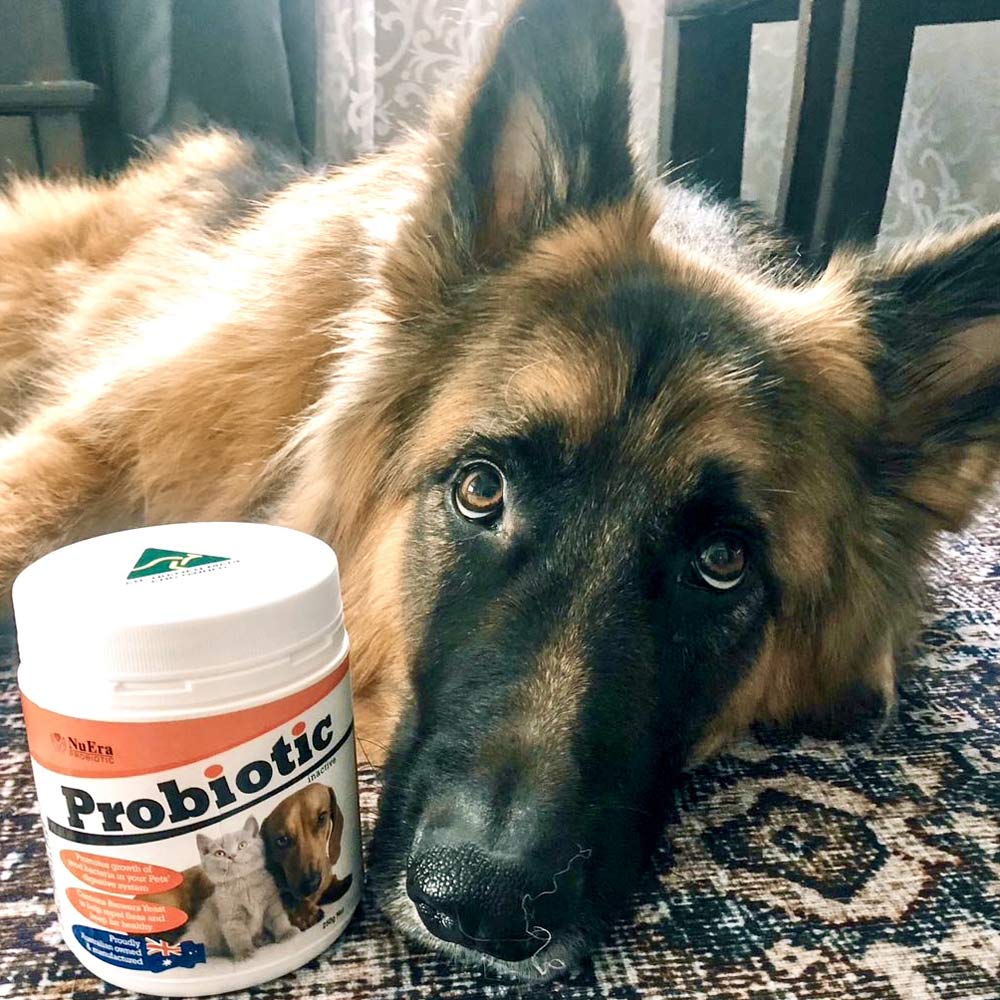 Probiotic for Pets 1kg