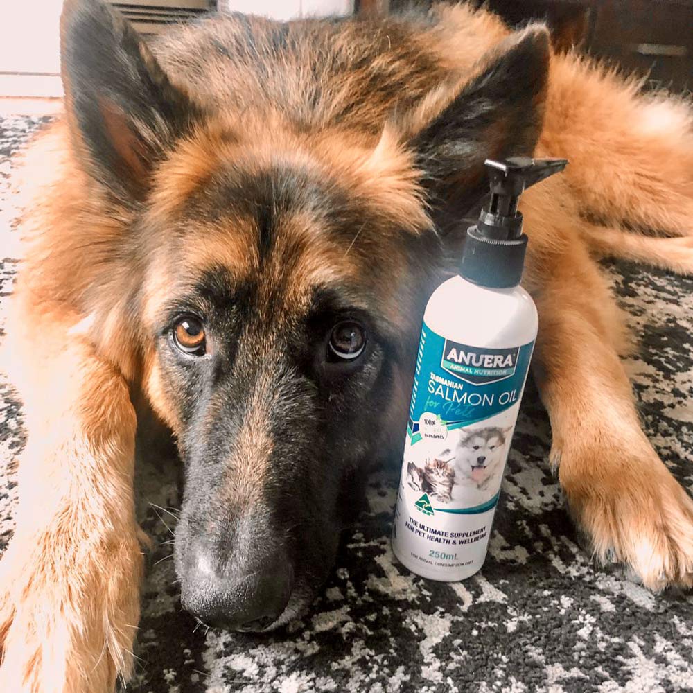 Tasmanian Salmon Oil for Pets 500ml