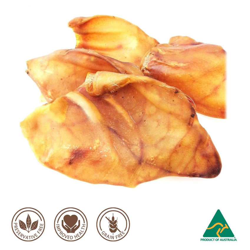 Bulk Pack 50 X-Large Dehydrated Pig Ears