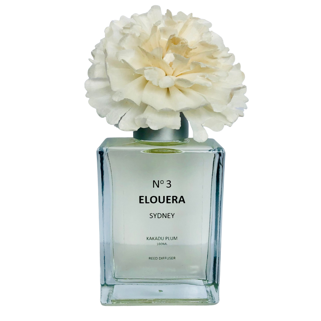 Clear Glass Diffuser - No3