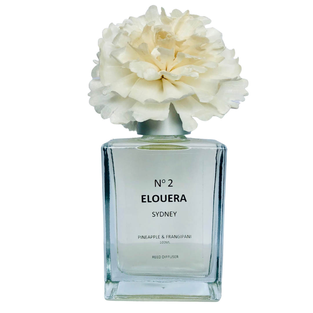 Clear Glass Diffuser - No2