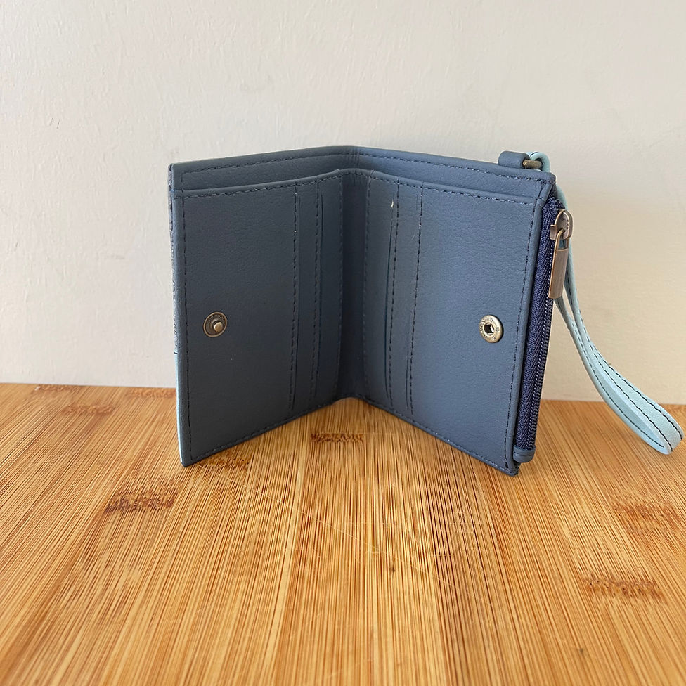 Wallet Electra Blue
