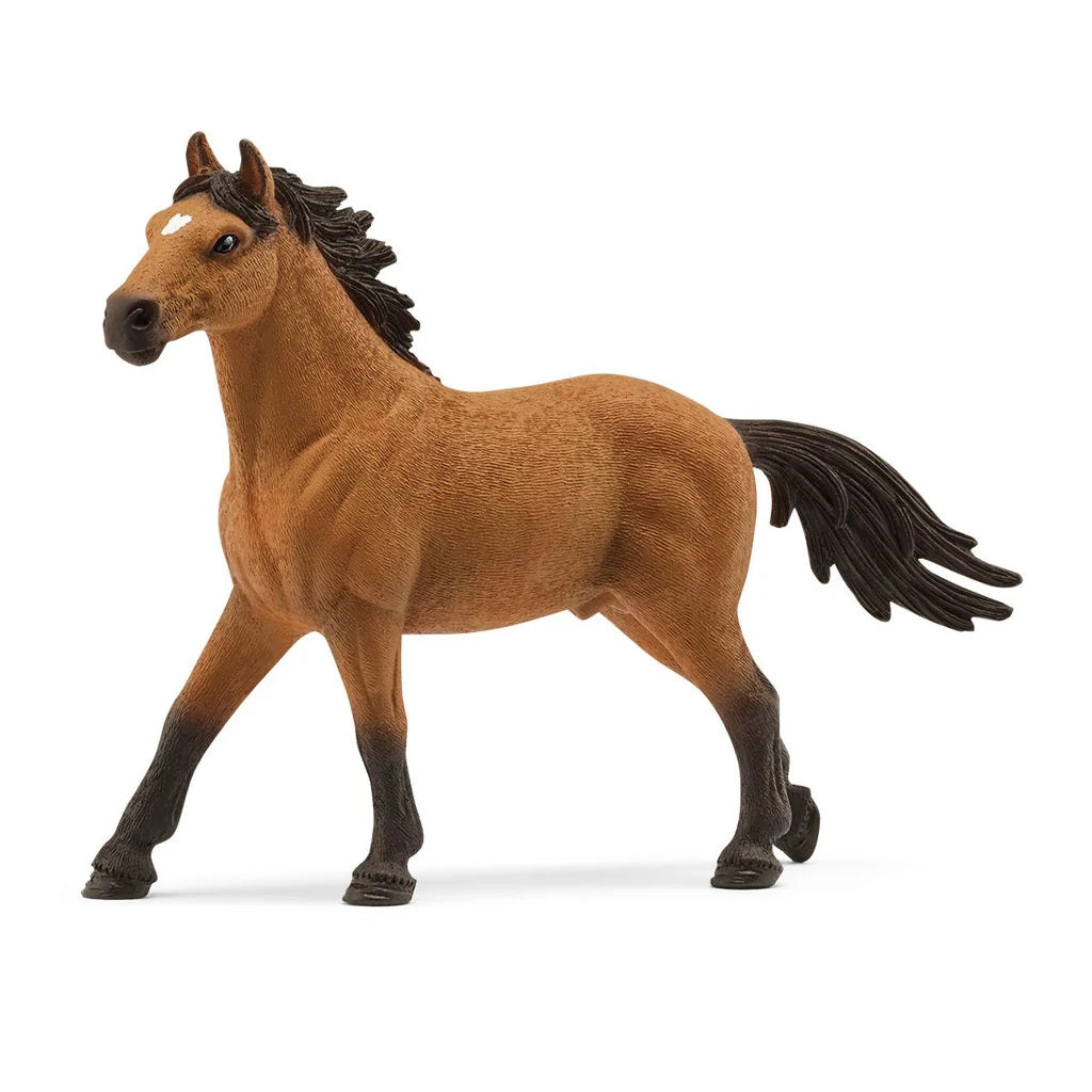 Schleich Horse Club - Mustang Stallion Exclusive