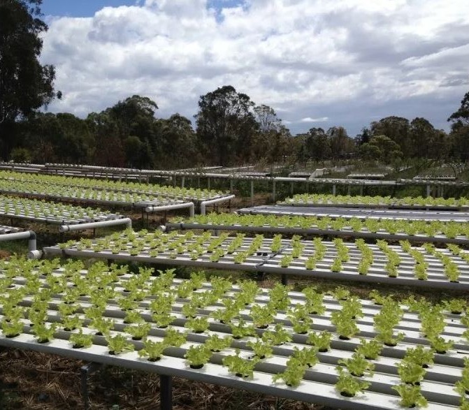 BADGERY'S CREEK - LAND SUB-DIVISION