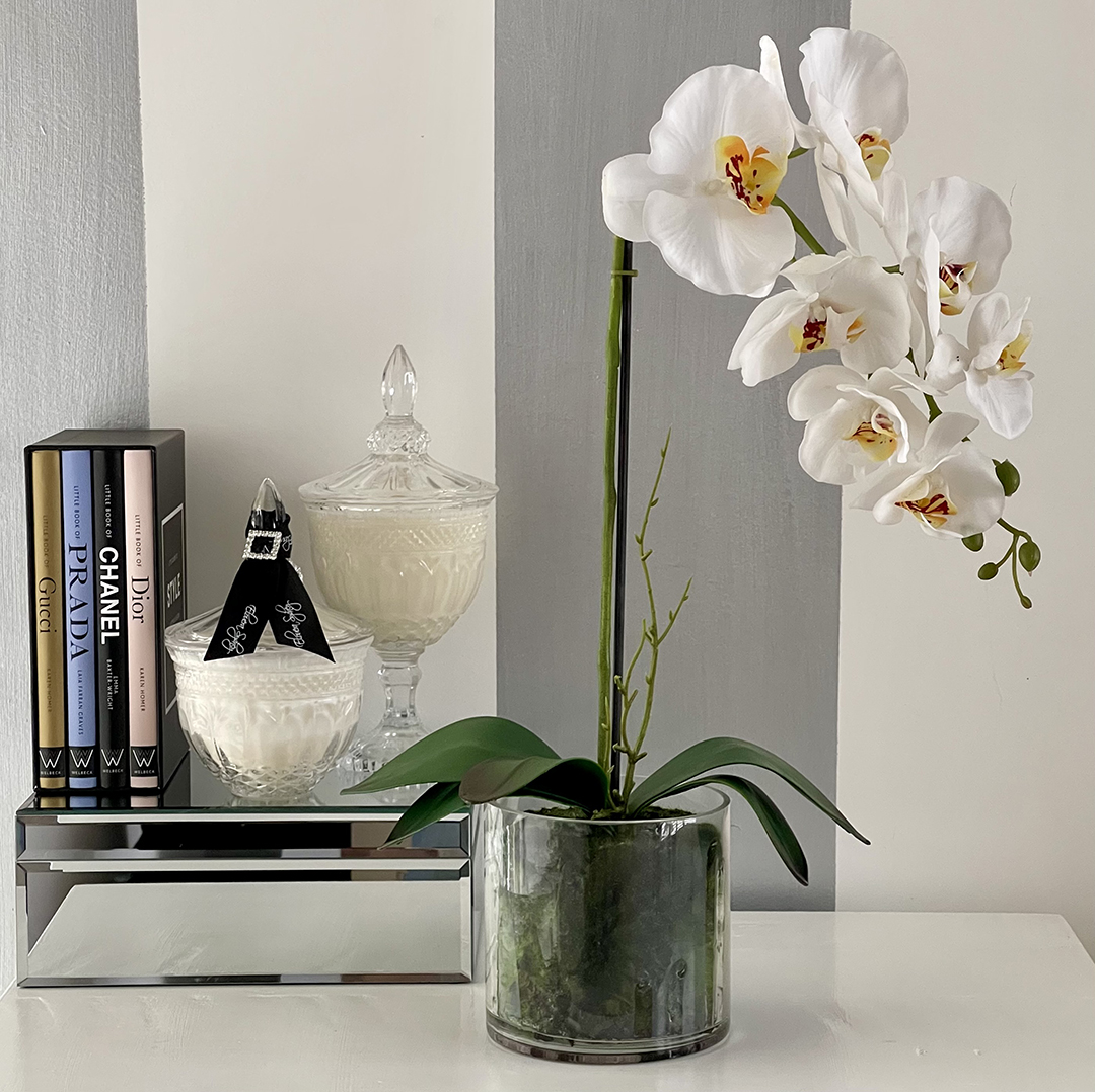 Small Phalaenopsis Orchid - Glass Vase