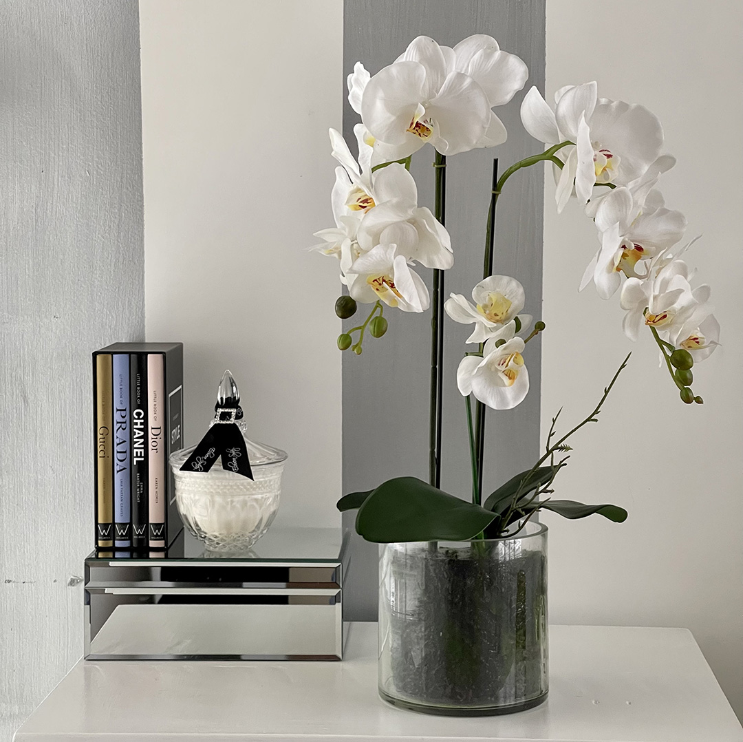 Large Phalaenopsis Orchid - Glass Vase