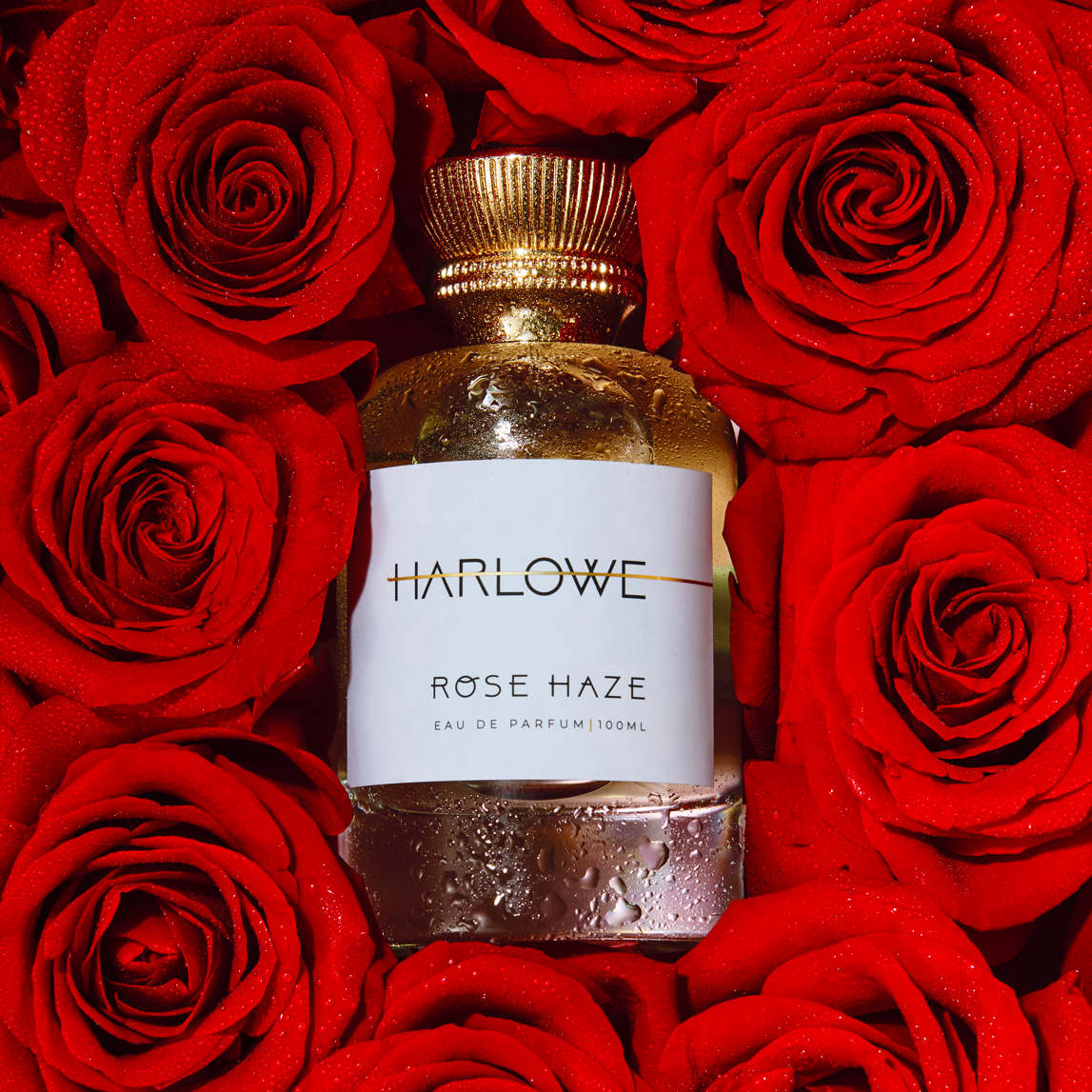 Rose Haze