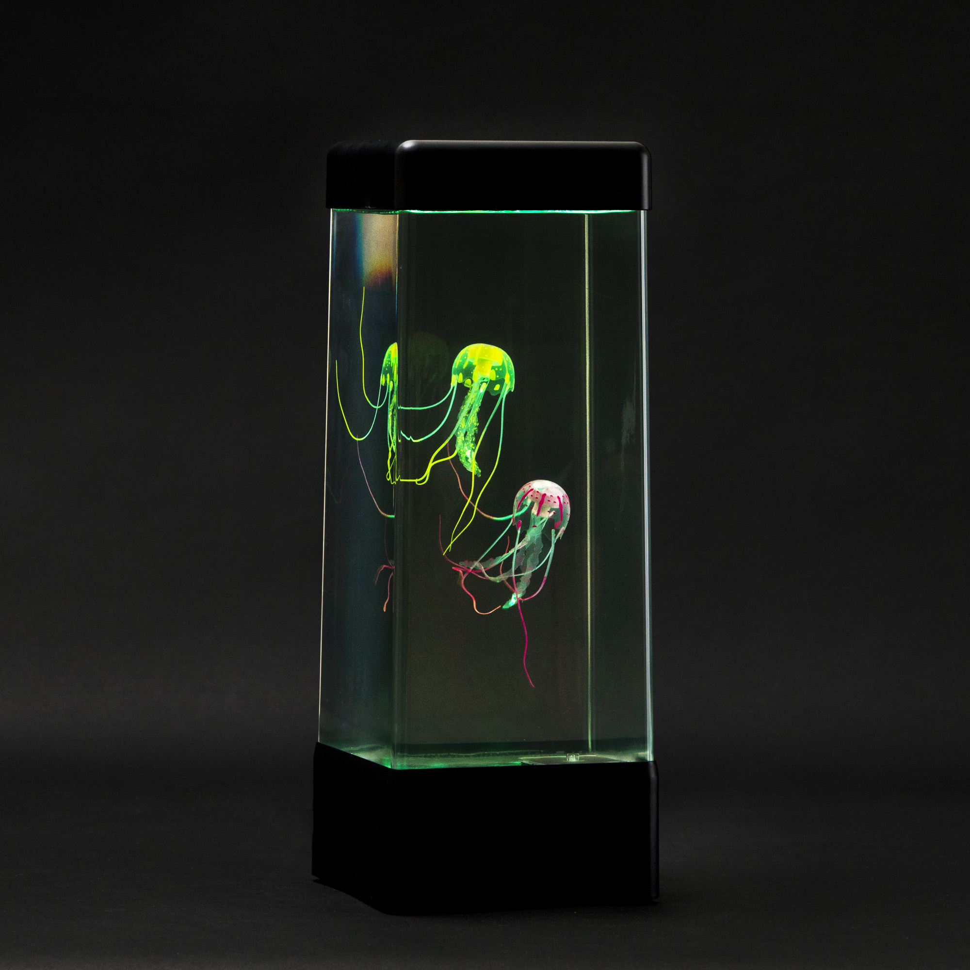 Baby Jellyfish - Jellyfish Lamp Accessory