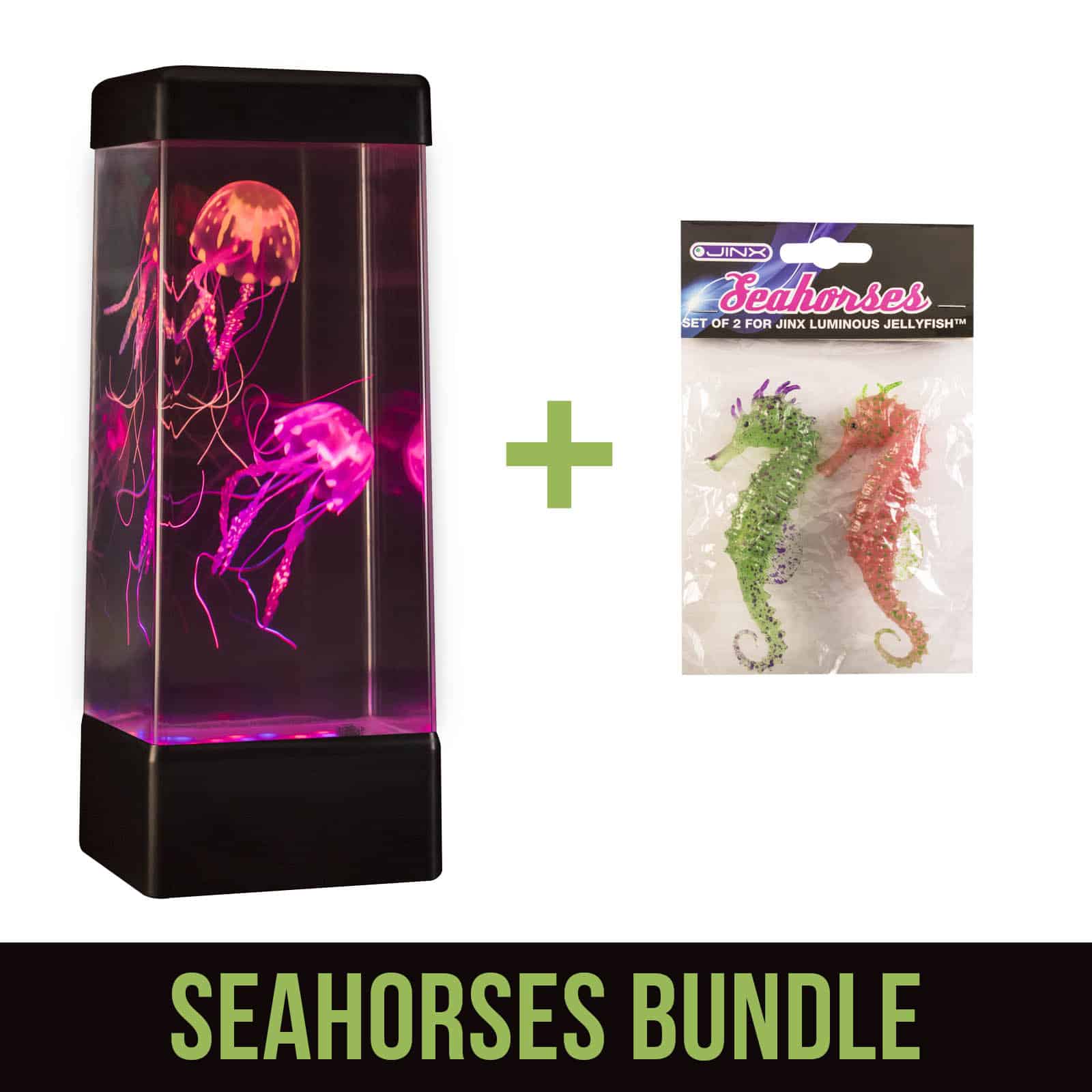 The Seahorses Bundle